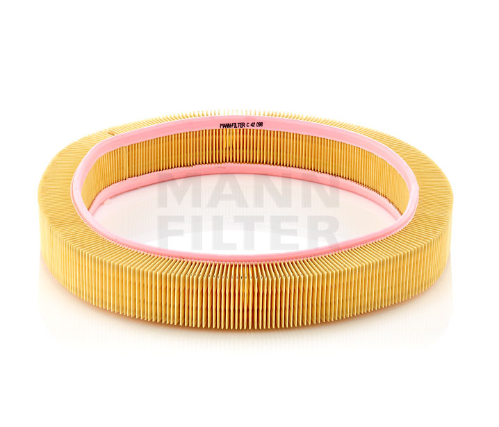 0010941704 OE MANN-FILTER Filtre à air C 42 098