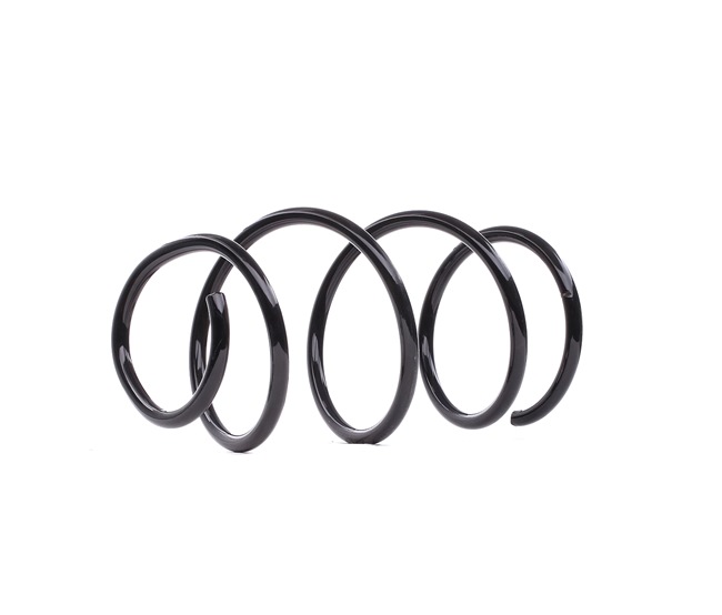 1093068 OE BILSTEIN Coil spring 36-269013