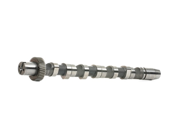 Albero a camme Audi A8 2022 428015610 INA