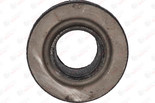 281407179 OE BIRTH Trailing arm / Suspension arm bush 4843