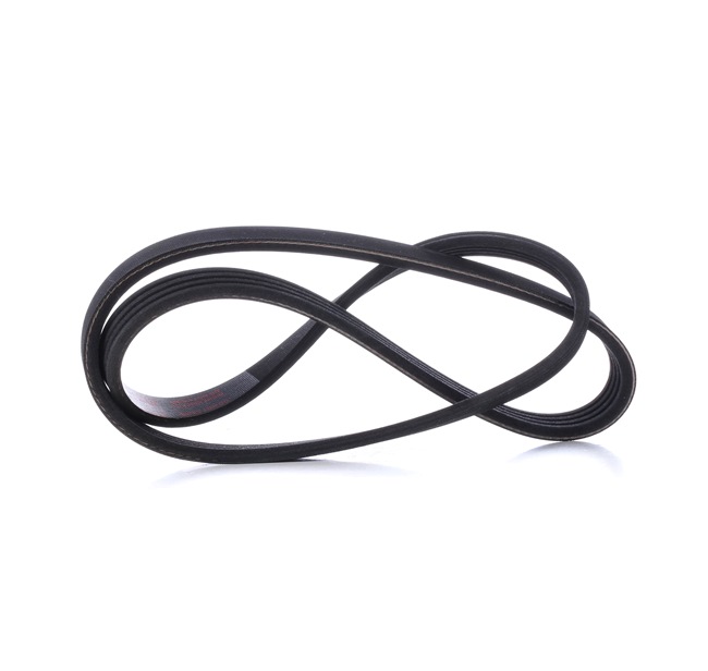Correa trapecial poli V 7799581 MASTER-SPORT 4PK865-PCS-MS