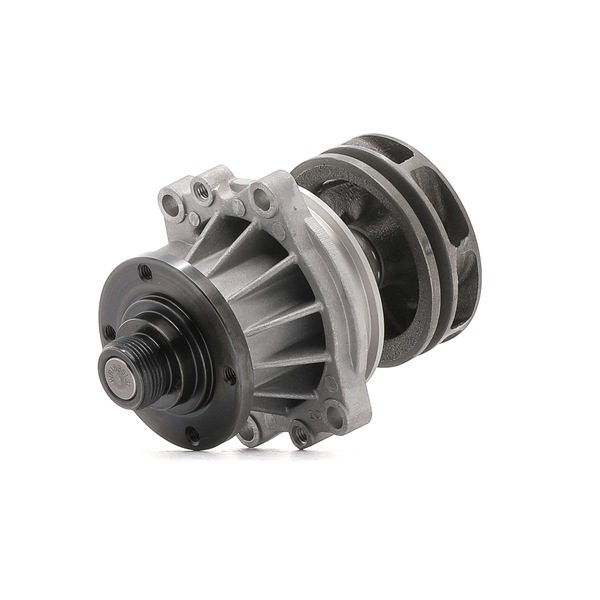 KOLBENSCHMIDT 50005513 Bomba de água BMW 5 Sedan (E34) 520 i 24V Gasolina 150 cv 1991 preço