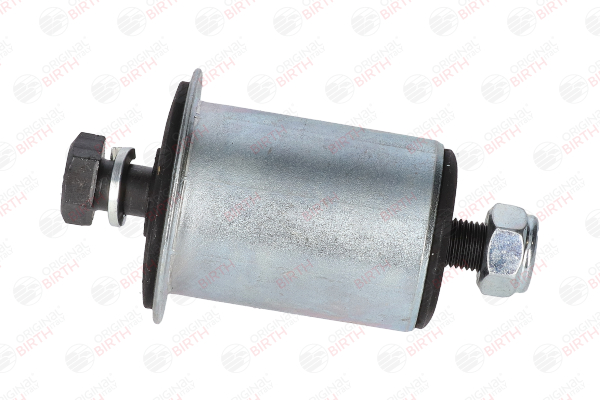 50012 BIRTH Silentblock de brazo de suspensión FIAT 124