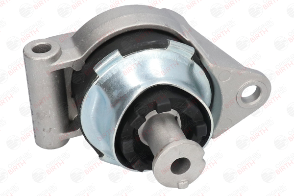 Soporte de motor 0682502 BIRTH 50490