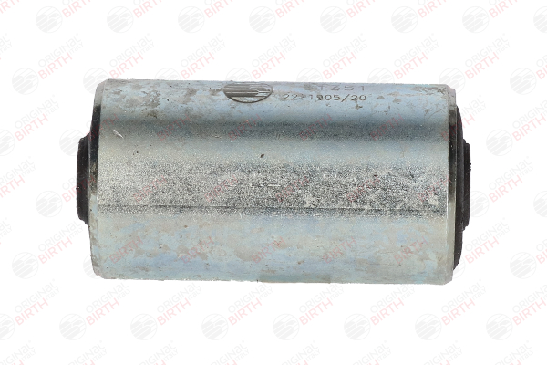 51351 BIRTH Parabolic leaf springs for AUDI A6