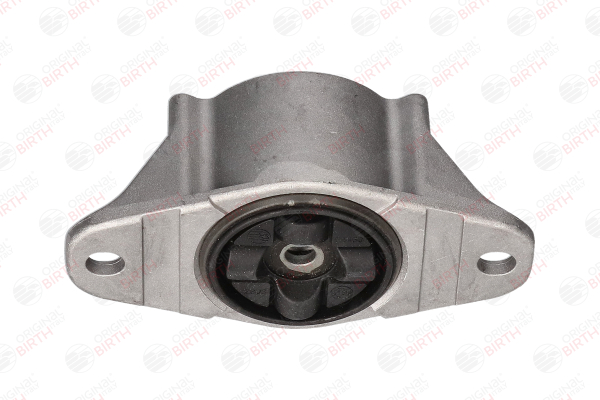 51460 BIRTH Cojinete columna suspensión FORD MONDEO