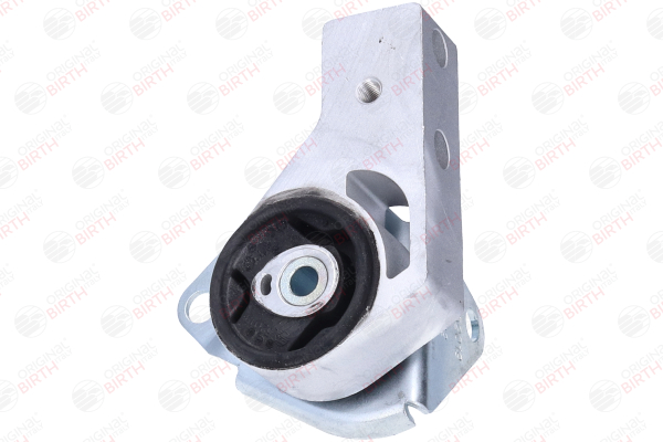 BIRTH 52019 Differential Einzelteile Fiat Panda 169 1.3 JTD Multijet 4x4 (169AXG1A, 169AXG2A) Diesel 75 PS 2011