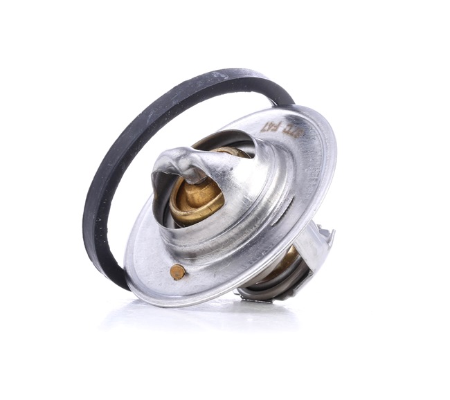 5204787 FAE 1338055 Kühlwasserthermostat