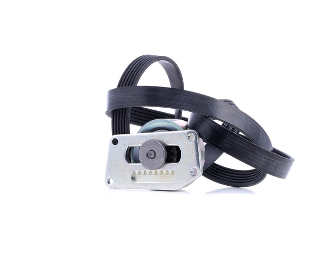 V-Ribbed Belt Set INA 529 0216 10 suitable for PEUGEOT, CITROËN at cheap price
