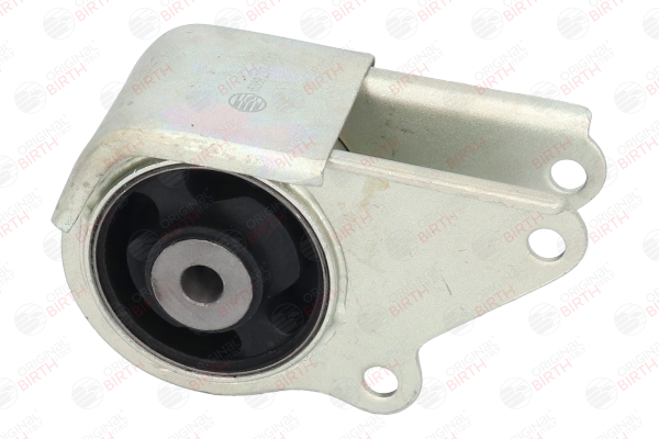 BIRTH 5389 Motorhalter FIAT Ducato I Pritsche/Fahrgestell (280) 2.5 D 4x4 Diesel 75 PS 1989