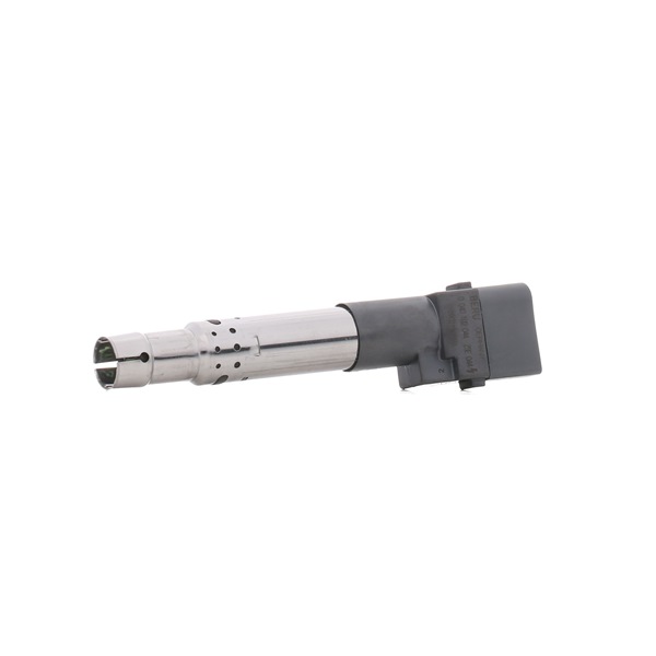BERU ZSE044 Bobina de encendido Seat Leon Mk1