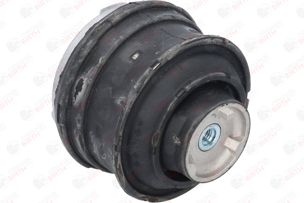 A2102400117 OE BIRTH Engine mount 5567