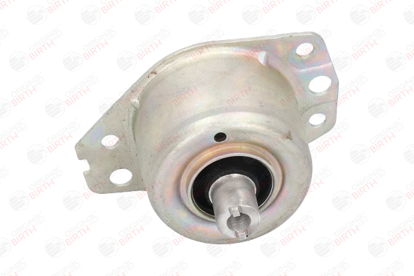 46413394 OE BIRTH Support moteur 5720